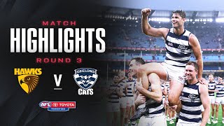 Hawthorn v Geelong Highlights  Round 3 2024  AFL [upl. by Direj72]