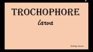 65Trochophore Larva [upl. by Leis962]