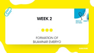 Week 2  CHAPTER3 FORMATION OF BILAMINAR EMBRYO [upl. by Poree321]