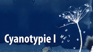 Cyanotypie I – wie man das beschichtete Papier selbst machen kann [upl. by Addam768]