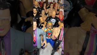 Mick Foley wwe wwewrestler allwrestlingfigures wwesuperstar wwefan wwefigures wrestler [upl. by Barde]