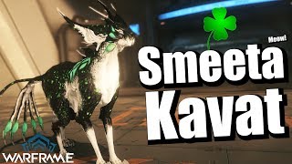 Warframe  Smeeta Kavat 6 Forma Build 🐱🍀 [upl. by Wain]