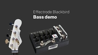 Effectrode Blackbird Bass Demo [upl. by Hollander]