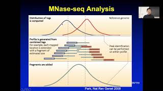 2019 STAT115 Lect124 Nucleosome Positioning [upl. by Ellenar749]