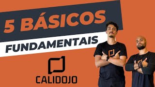 5 MOVIMENTOS BÁSICOS FUNDAMENTAIS NA CALISTENIA [upl. by Nylessoj]