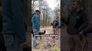 Canaliser lénergie de son chien avec une BALLE  🐕 educationcanine chien [upl. by Barnard]