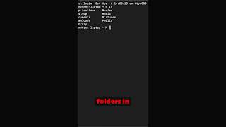 Master the Linux ‘ls’ Command in Under a Minute linux ls commandline [upl. by Riatsila]