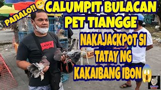 CALUMPIT BULACAN PET MARKET DINADAYO NG MGA TAO SOBRANG MURA NG PETS MALA BOCAUE DITO vlog610 [upl. by Enawd]