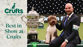 The Best of the Best 🐶 Our Best in Show Winners from Crufts Past [upl. by Emersen769]