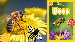 National Geographic Readers Bees  read aloud science book [upl. by Aihsenat]