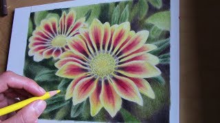 drawing yellow blossoms with colored pencils [upl. by Pages321]