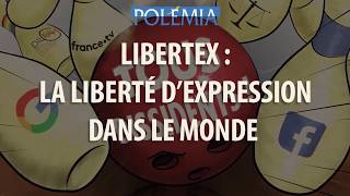 Lindice de la liberté dexpression  Résultats très inquiétants  LIBERTEX 2018 [upl. by Alamaj]