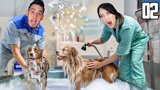 YA TENEMOS SALA DE LAVADO Y LE DAMOS EL PRIMER BAĂ‘O A UN PERRITO  Animal Shelter Simulator Cap 2 [upl. by Ahsas808]