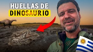 Huellas de DINOSAURIO en Uruguay [upl. by Anoo]