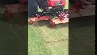 Jacobsen Verticut 214 Golf y Turf [upl. by Seravart]