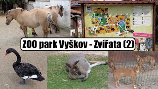 Zvířata v ZOO park Vyškov 2 část CZ FotoVideo [upl. by Enoch]