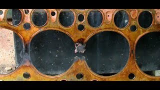 HOW TO CHECK A BLOWN HEAD GASKET WITH NO SPECIALIZED TOOLS [upl. by Aicnatsnoc]