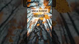 Vakıa suresi 5767 [upl. by Aenel]