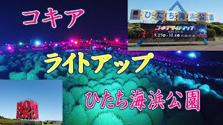 コキア ライトアップ ひたち海浜公園 [upl. by Virendra]