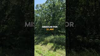 048 Acres for Sale in Iconium Missouri for 1495 [upl. by Werdn]