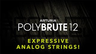 Arturia PolyBrute 12  Expressive Analog Strings [upl. by Leirum]