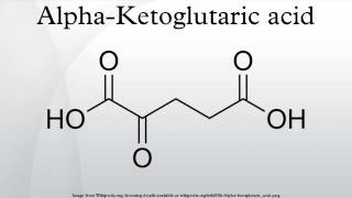 AlphaKetoglutaric acid [upl. by Agon223]