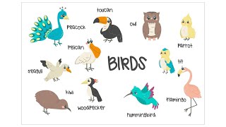 Birds Name in English for kids Birds Name Vocabulary [upl. by Carrnan]