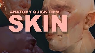 Anatomy Quick Tips Skin [upl. by Mitinger]