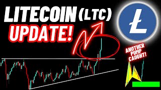 Litecoin LTC Crypto Coin Update [upl. by Einal]