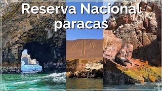 ðŸ¦­ðŸï¸Paracas Islas Ballestas  PerÃº 2024ðŸ¦­ðŸï¸ [upl. by Neirbo184]