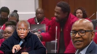 Mbuyiseni Ndlozi amp Julius Malema rejects DA Amandment Mk Party mzwanele manyi Support them [upl. by Jarrid286]