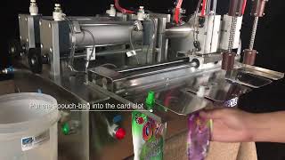 Product Introduction of Standup Pouch Filling Machine [upl. by Huan]