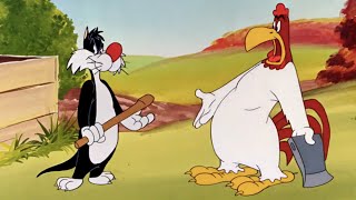 Looney Tunes  Crowing Pains  Foghorn Leghorn amp Sylvester  1947  Classic Cartoon [upl. by Sachiko]