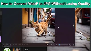 How to Convert WebP to JPG Without Losing Quality [upl. by Ahsinut]