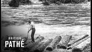 Logging In Idaho  USA 1926 [upl. by Holmes]