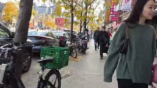 spadina walk SUN OCT 27 2024 TORONTO toronto trending viral shortsviral vlog subscriber [upl. by Kieryt]