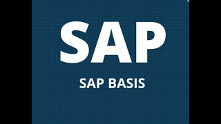 SAP BASIS  HANA DEMO Session [upl. by Amlus]