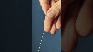 Powerful PE Braid to Mono or Fluorocarbon Leader Knot [upl. by Eimmelc475]