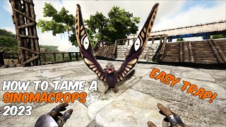 How to TRAP a Sinomacrops In Ark Survival Evolved 2024 sinomacrops ark arksurvivalevolved [upl. by Nipahc]