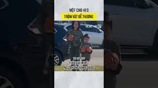 Một chú heo trộm vặt dễ thương [upl. by Ahseinad]