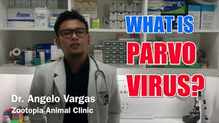 PARVO VIRAL INFECTION [upl. by Akilaz]