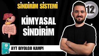 AYT Biyoloji Kampı  12 GÜN  Besinlerin Kimyasal Sindirimi  yks2025 [upl. by Oraneg]