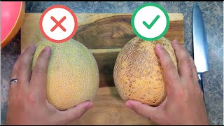 How to pick a sweet and juicy cantaloupe melon  5 things to look for  How to cut cantaloupe [upl. by Fayette]