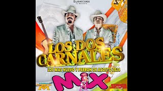 LOS DOS CARNALES LO MAS NUEVO MIX 2024 [upl. by Yror]