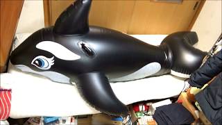 double layered inflatable orca [upl. by Attaymik]