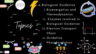 Biological Oxidation  CHEM 2 General Biochemistry [upl. by Alket997]