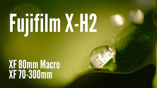 Fujifilm XH2 with XF 80mm Macro and 70300 Photo Examples and Advice [upl. by Lantha]