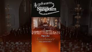 Pilgrims Chorus «Tannhauser» Male voice Choir SangKam  Hamar domkirke june 4 2023 music choir [upl. by Demmer]