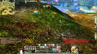 AION 40 PvP  ASSASSIN • Paralyzed  Vol 40 [upl. by Etnauj147]