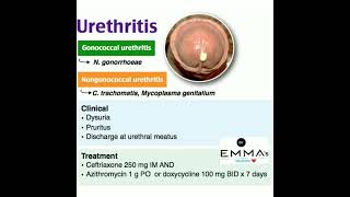 💠 Urethritis 💠 [upl. by Nager]